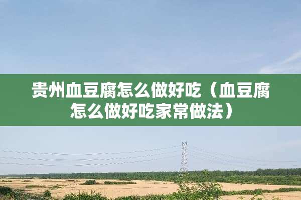 贵州血豆腐怎么做好吃（血豆腐怎么做好吃家常做法）