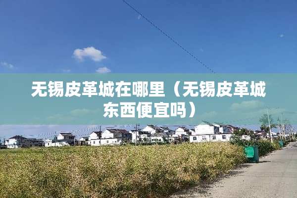 无锡皮革城在哪里（无锡皮革城东西便宜吗）