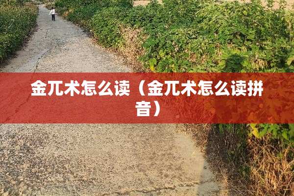 金兀术怎么读（金兀术怎么读拼音）