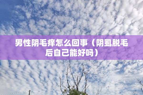 男性*毛痒怎么回事（*虱脱毛后自己能好吗）