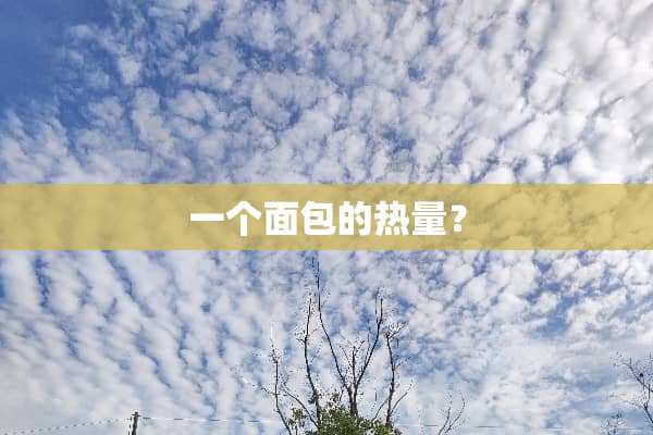 一个面包的热量？