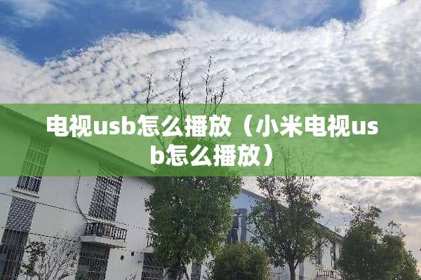 电视usb怎么播放（小米电视usb怎么播放）