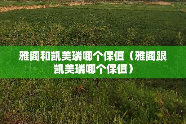 雅阁和凯美瑞哪个保值（雅阁跟凯美瑞哪个保值）