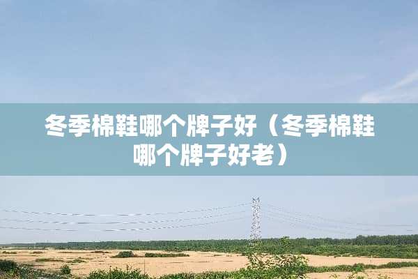 冬季棉鞋哪个牌子好（冬季棉鞋哪个牌子好老）