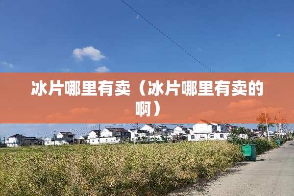 冰片哪里有卖（冰片哪里有卖的啊）