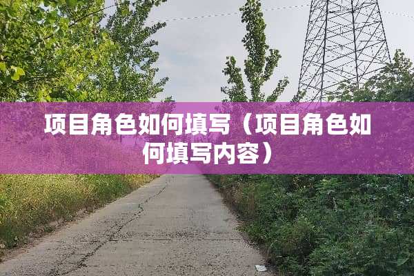 项目角色如何填写（项目角色如何填写内容）