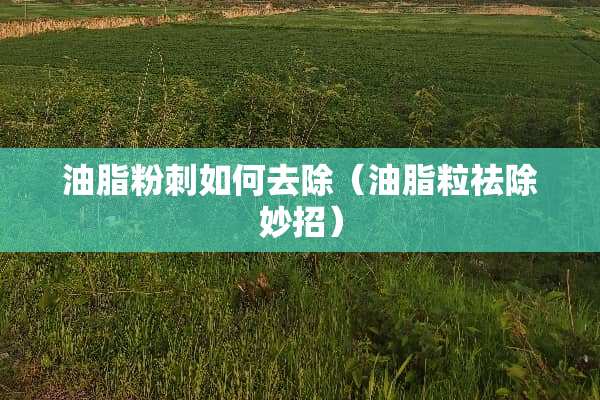 油脂**如何去除（油脂粒祛除妙招）