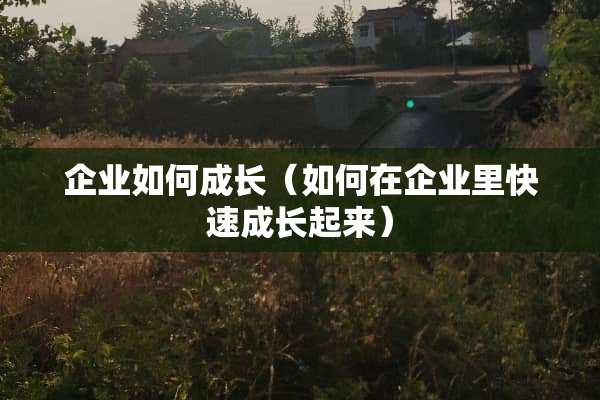 企业如何成长（如何在企业里快速成长起来）