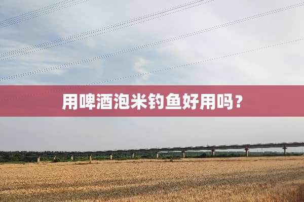用啤酒泡米钓鱼好用吗？