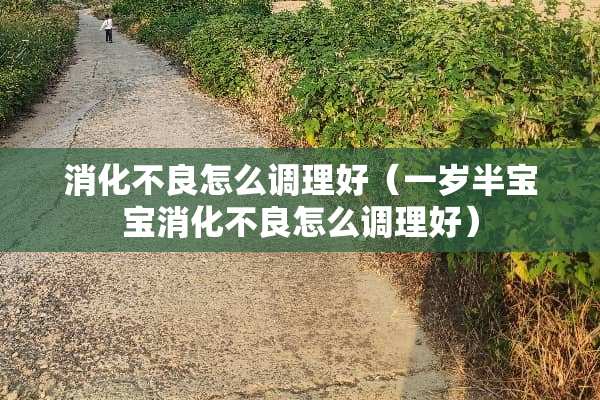 消化**怎么调理好（一岁半宝宝消化**怎么调理好）