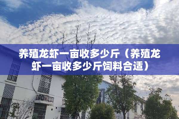养殖龙虾一亩收多少斤（养殖龙虾一亩收多少斤饲料合适）