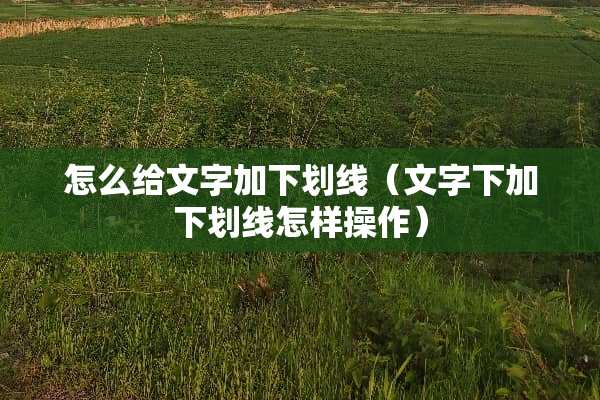 怎么给文字加下划线（文字下加下划线怎样操作）