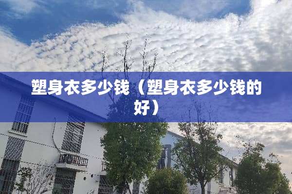 塑身衣多少钱（塑身衣多少钱的好）