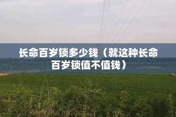 长命百岁锁多少钱（就这种长命百岁锁值不值钱）