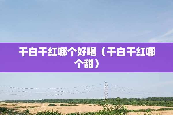 干白干红哪个好喝（干白干红哪个甜）