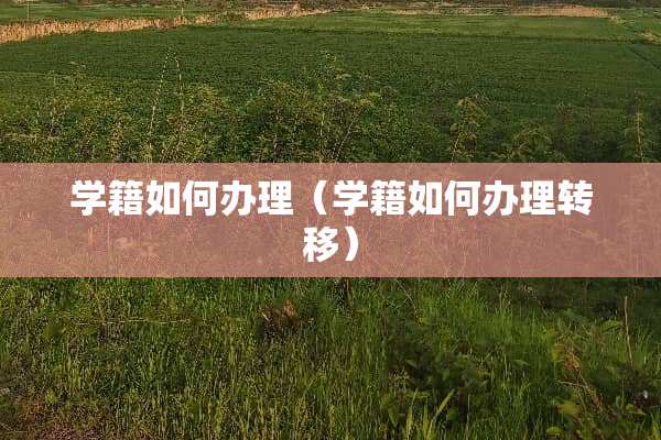 学籍如何办理（学籍如何办理转移）