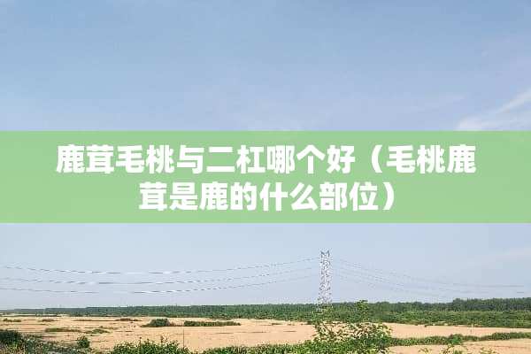 鹿茸毛桃与二杠哪个好（毛桃鹿茸是鹿的什么部位）