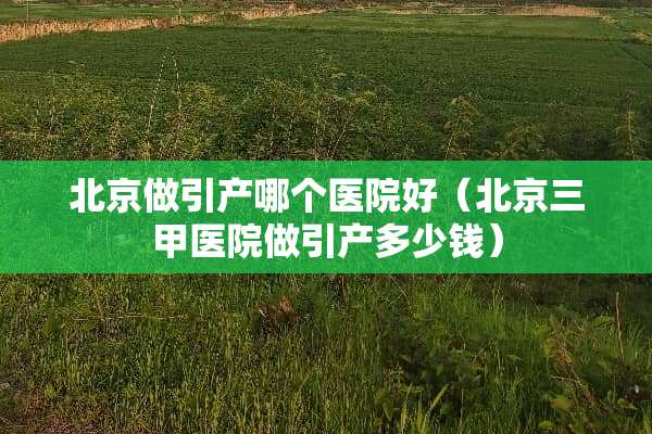 北京做引产哪个医院好（北京三甲医院做引产多少钱）