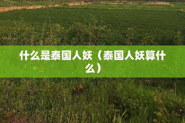 什么是泰国人妖（泰国人妖算什么）