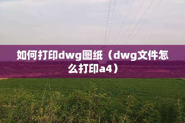 如何打印dwg图纸（dwg文件怎么打印a4）