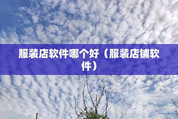 服装店软件哪个好（服装店铺软件）
