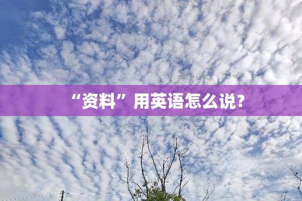 “资料”用英语怎么说？