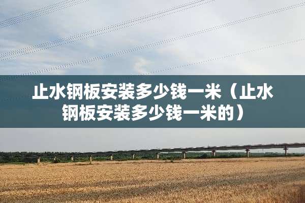 止水钢板安装多少钱一米（止水钢板安装多少钱一米的）