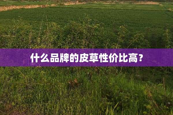 什么品牌的皮草性价比高？