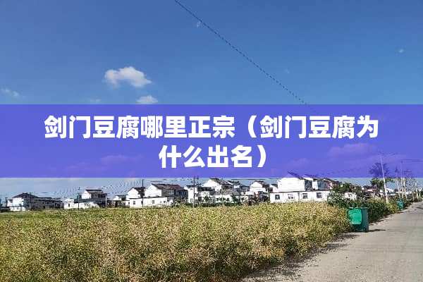 剑门豆腐哪里正宗（剑门豆腐为什么出名）
