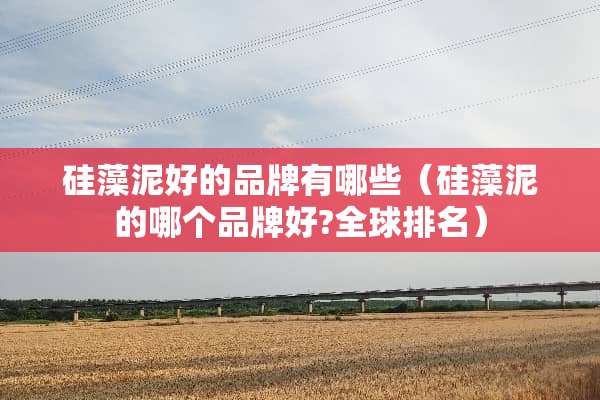 硅藻泥好的品牌有哪些（硅藻泥的哪个品牌好?全球排名）