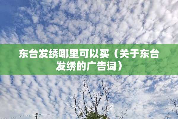 东台发绣哪里可以买（关于东台发绣的广告词）