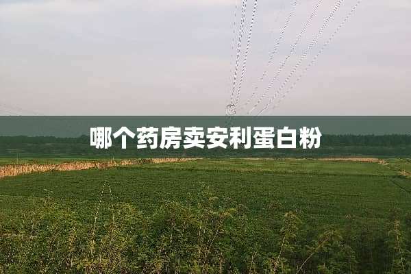 哪个药房卖安利蛋白粉