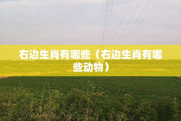 右边生肖有哪些（右边生肖有哪些动物）