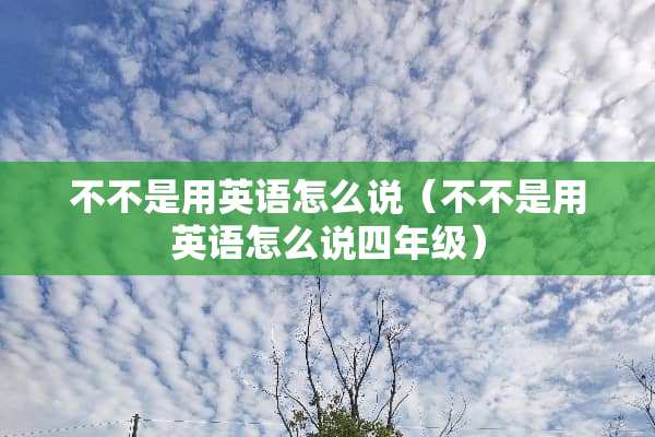 不不是用英语怎么说（不不是用英语怎么说四年级）