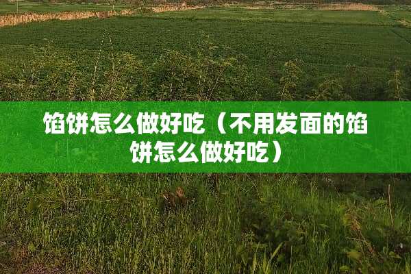 馅饼怎么做好吃（不用发面的馅饼怎么做好吃）