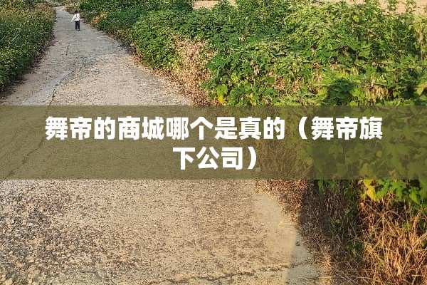 舞帝的商城哪个是真的（舞帝旗下公司）