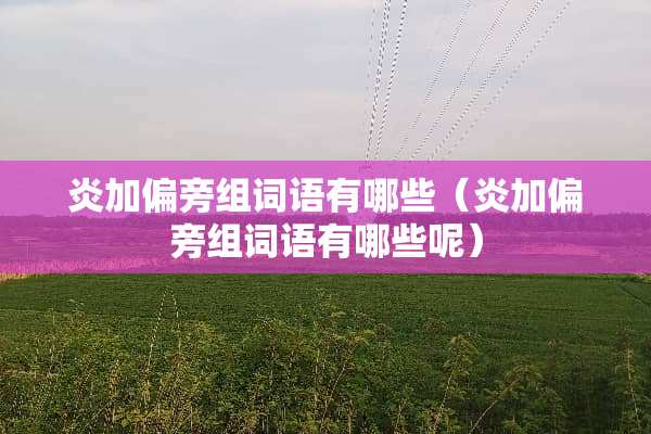 炎加偏旁组词语有哪些（炎加偏旁组词语有哪些呢）