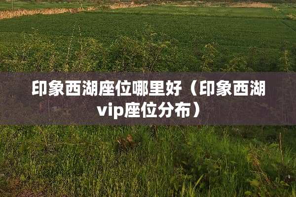 印象西湖座位哪里好（印象西湖vip座位分布）