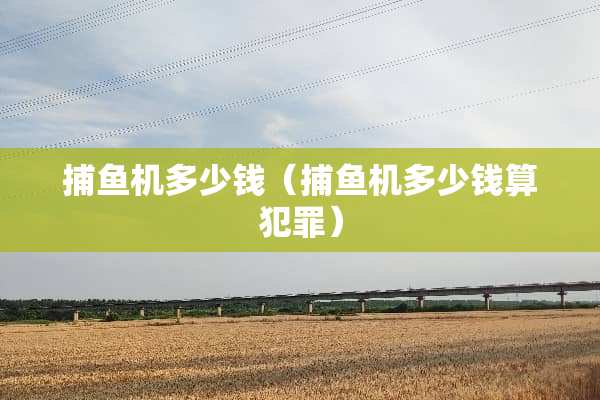 ***多少钱（***多少钱算犯罪）