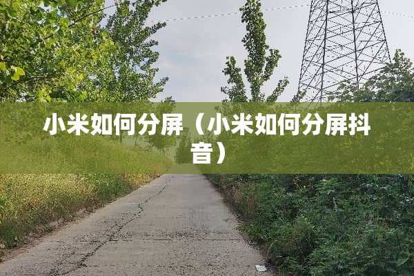 小米如何分屏（小米如何分屏抖音）