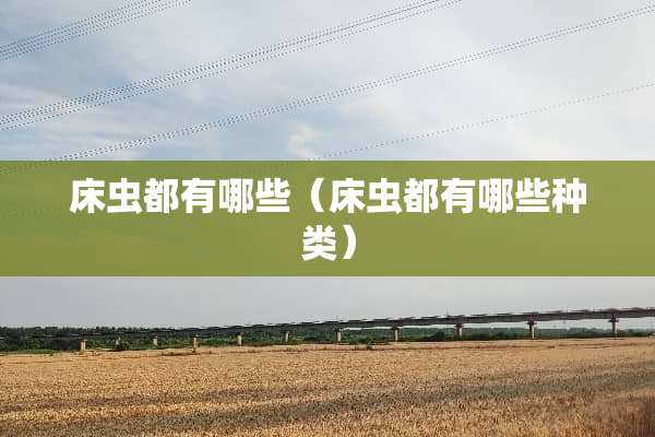 床虫都有哪些（床虫都有哪些种类）