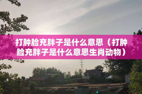 打肿脸充胖子是什么意思（打肿脸充胖子是什么意思生肖动物）