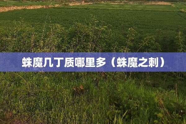 蛛魔几丁质哪里多（蛛魔之刺）