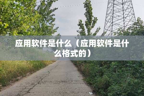 应用软件是什么（应用软件是什么格式的）