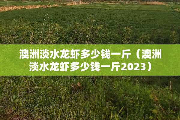 澳洲淡水龙虾多少钱一斤（澳洲淡水龙虾多少钱一斤2023）