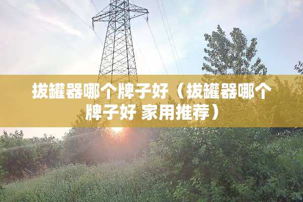 拔罐器哪个牌子好（拔罐器哪个牌子好 家用推荐）