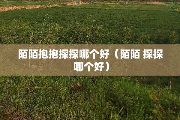 陌陌抱抱探探哪个好（陌陌 探探 哪个好）