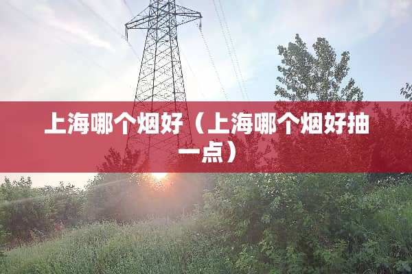 上海哪个烟好（上海哪个烟好抽一点）