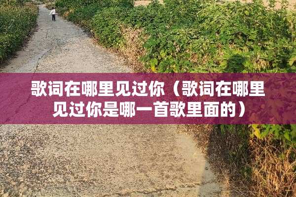 歌词在哪里见过你（歌词在哪里见过你是哪一首歌里面的）