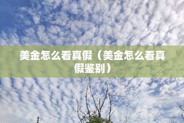 美金怎么看真假（美金怎么看真假鉴别）